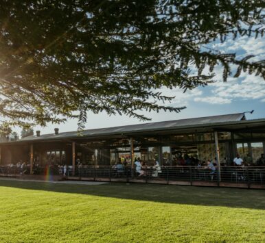 ?brizy media=wp ca75dfc6be5c5a3646148c6252ee0371 The 3 Monkeys Restaurant | Zimbabwe